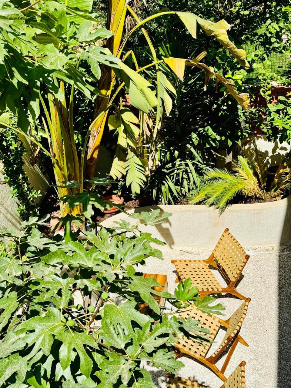 Maison Lyo Suite Luxe Cannes Exteriör bild